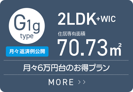 G1gタイプ