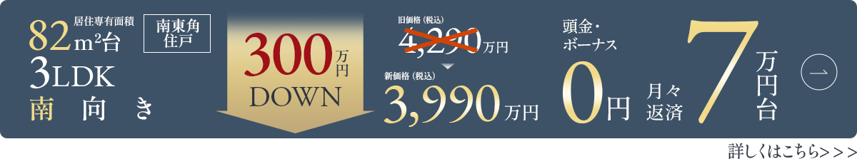 J2 3990万円